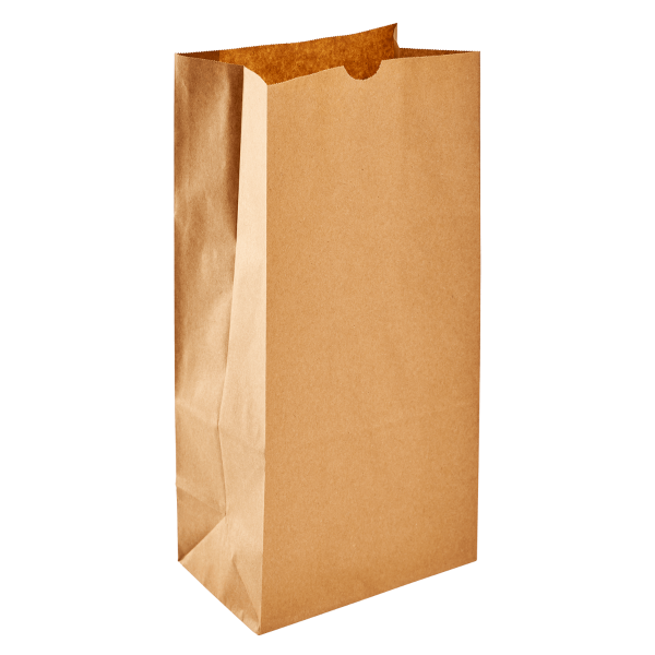 1000 Strung Brown Paper Bags 8.5 X 8.5