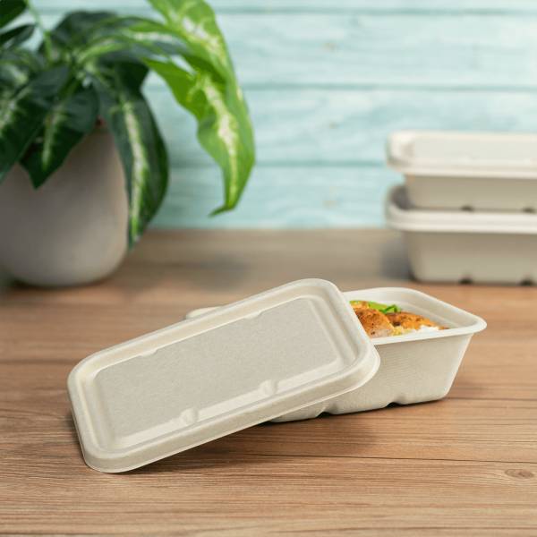 Karat Earth Bagasse Flat Lid for 16-24 oz Bagasse Take Out Container, Rectangular - 500 ct, Beige