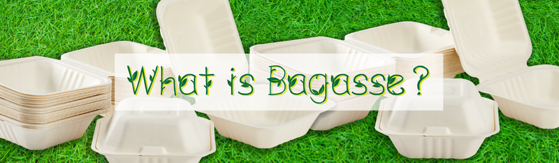 What is Bagasse?