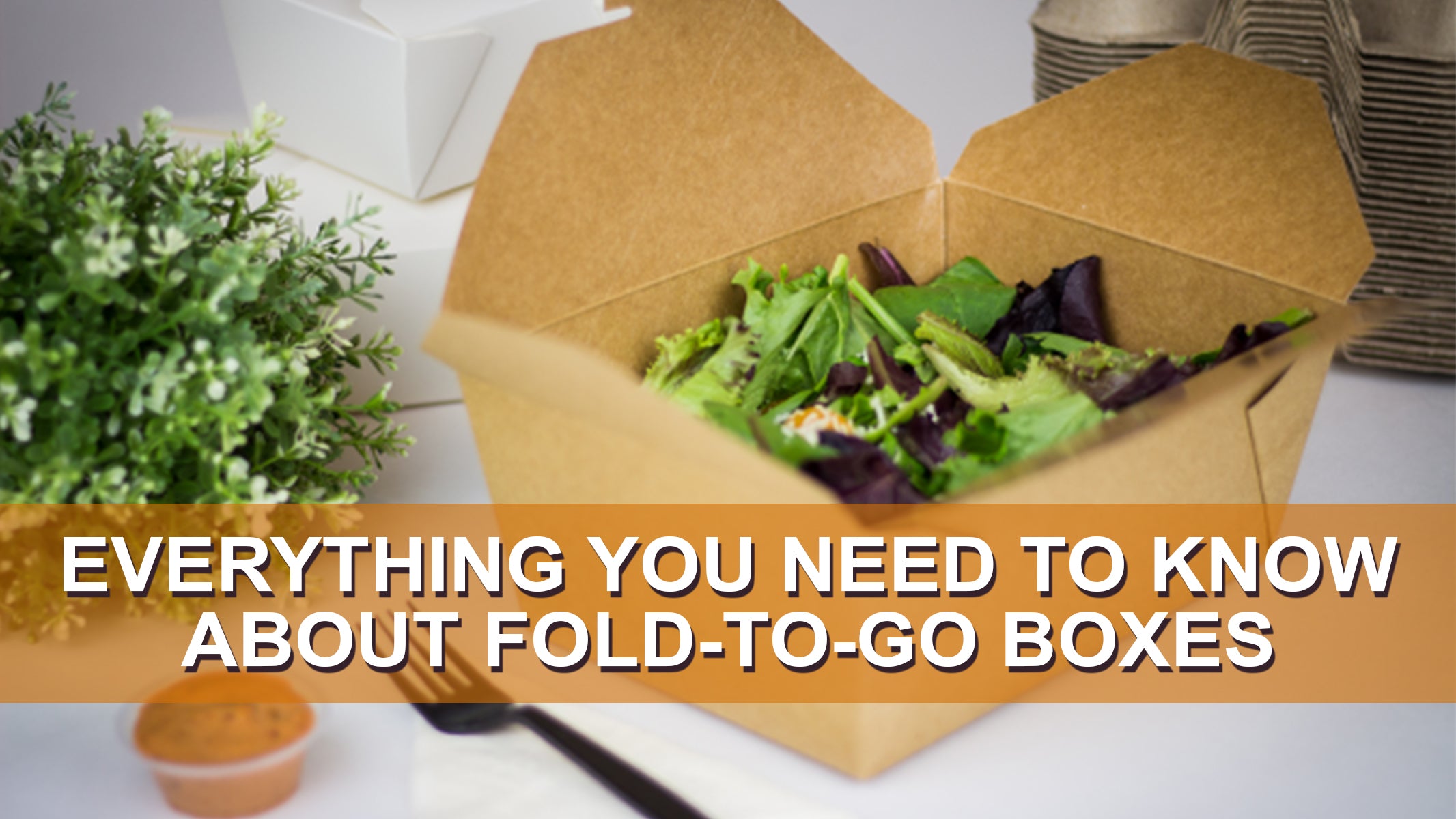 Everything You Need To Know About Fold-To-Go Boxes