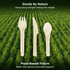 Karat Earth PFAS Free Bagasse Cutlery Kits (Knife, Fork, Soup Spoon, 2-ply Napkin), Paper Wrapped - 250 sets