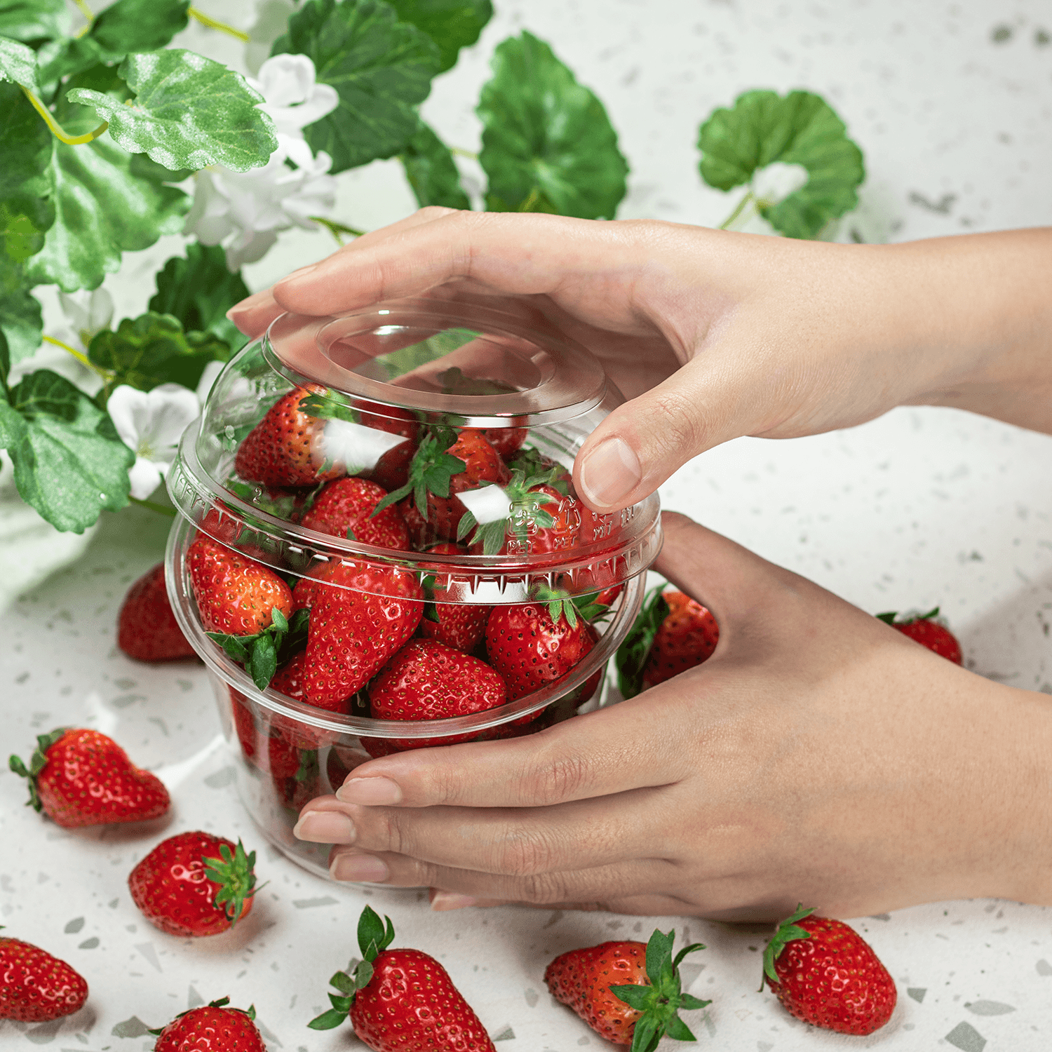 Karat PET Dome lid for 8-32oz with PET Round Deli Container filled with strawberries