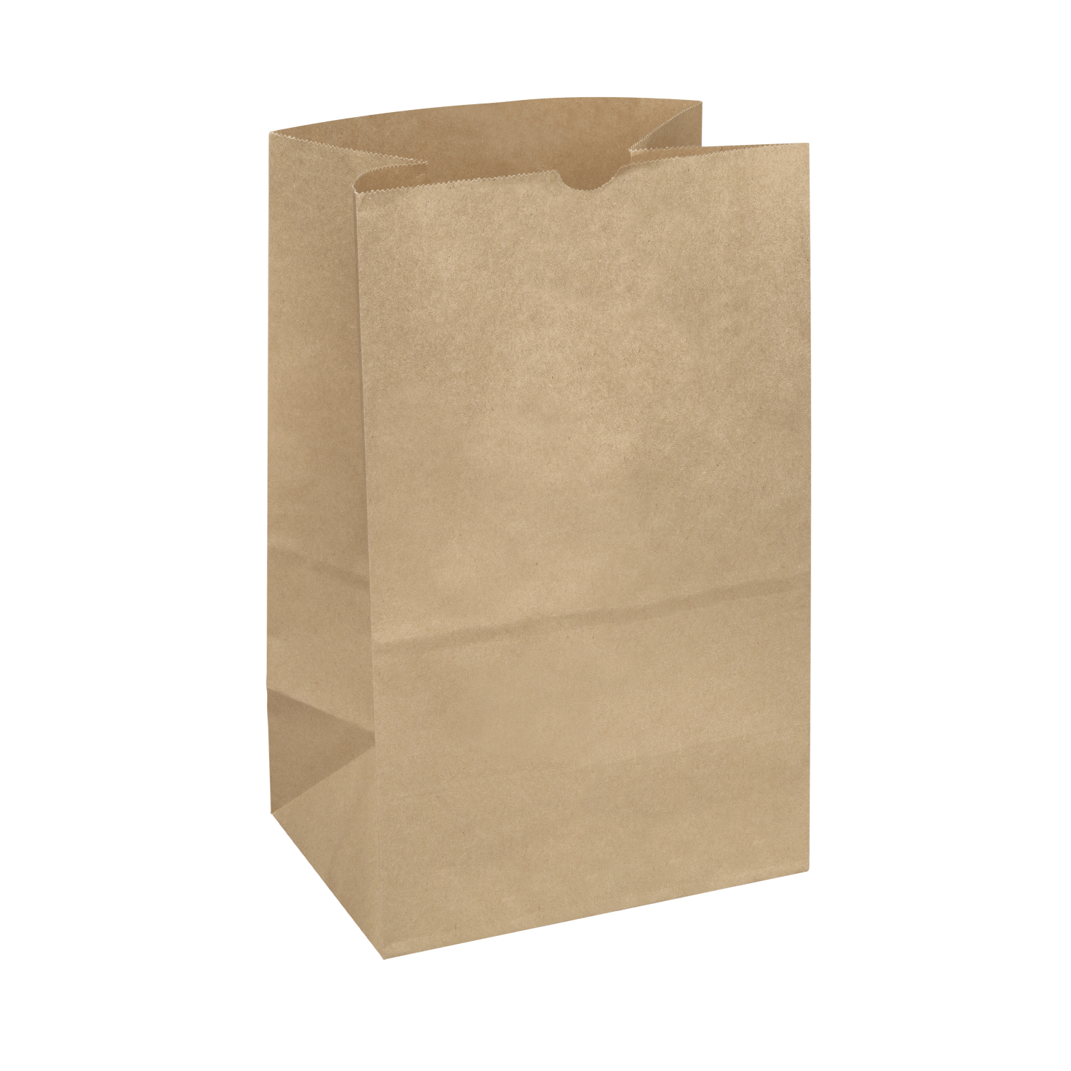 [500 ct] 20lb Shorty Paper Bag