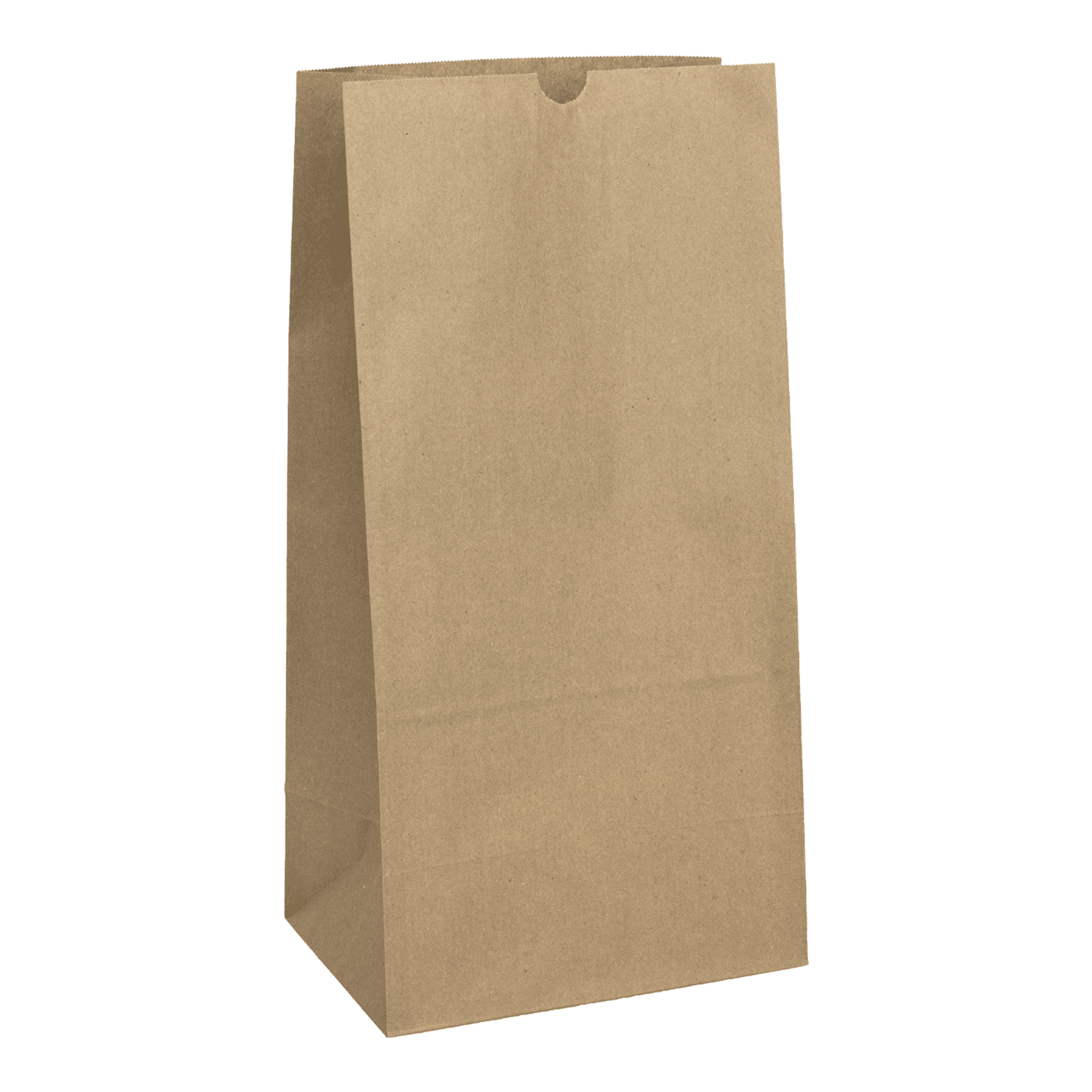 [500 ct] 20 lb Paper Bag, Kraft