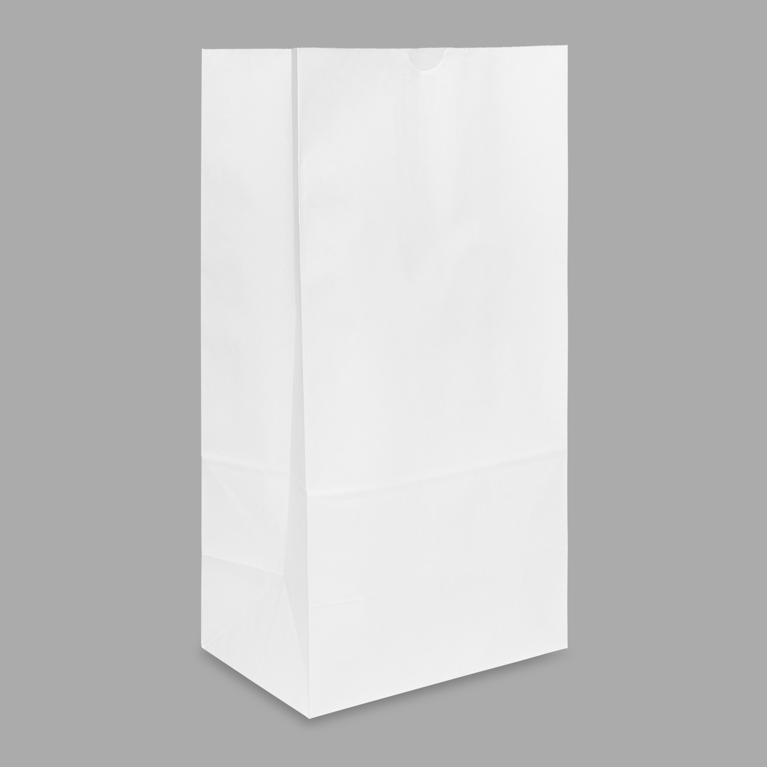 [500 ct] 20 lb Paper Bag, White