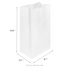 [500 ct] 20 lb Paper Bag, White