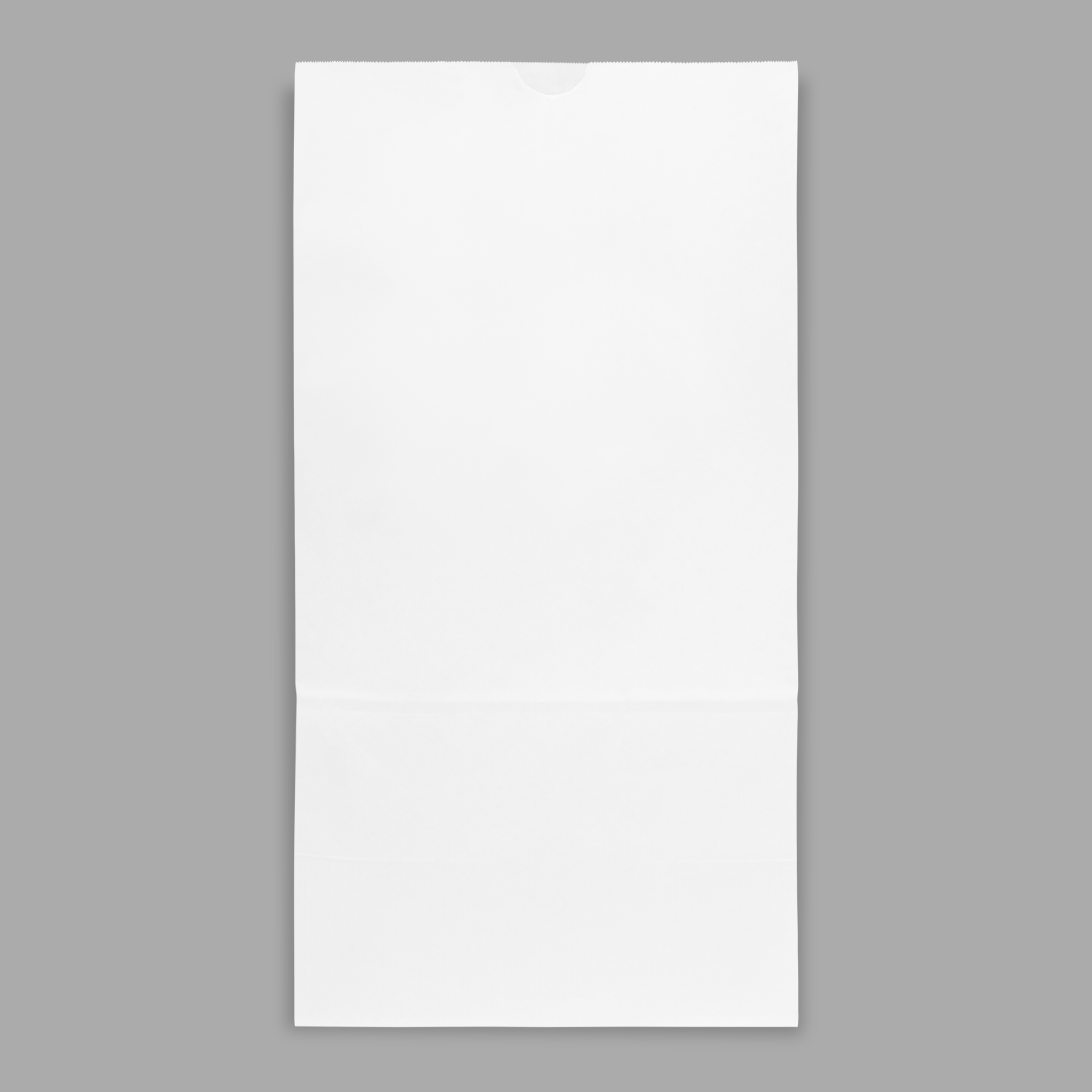 [500 ct] 20 lb Paper Bag, White
