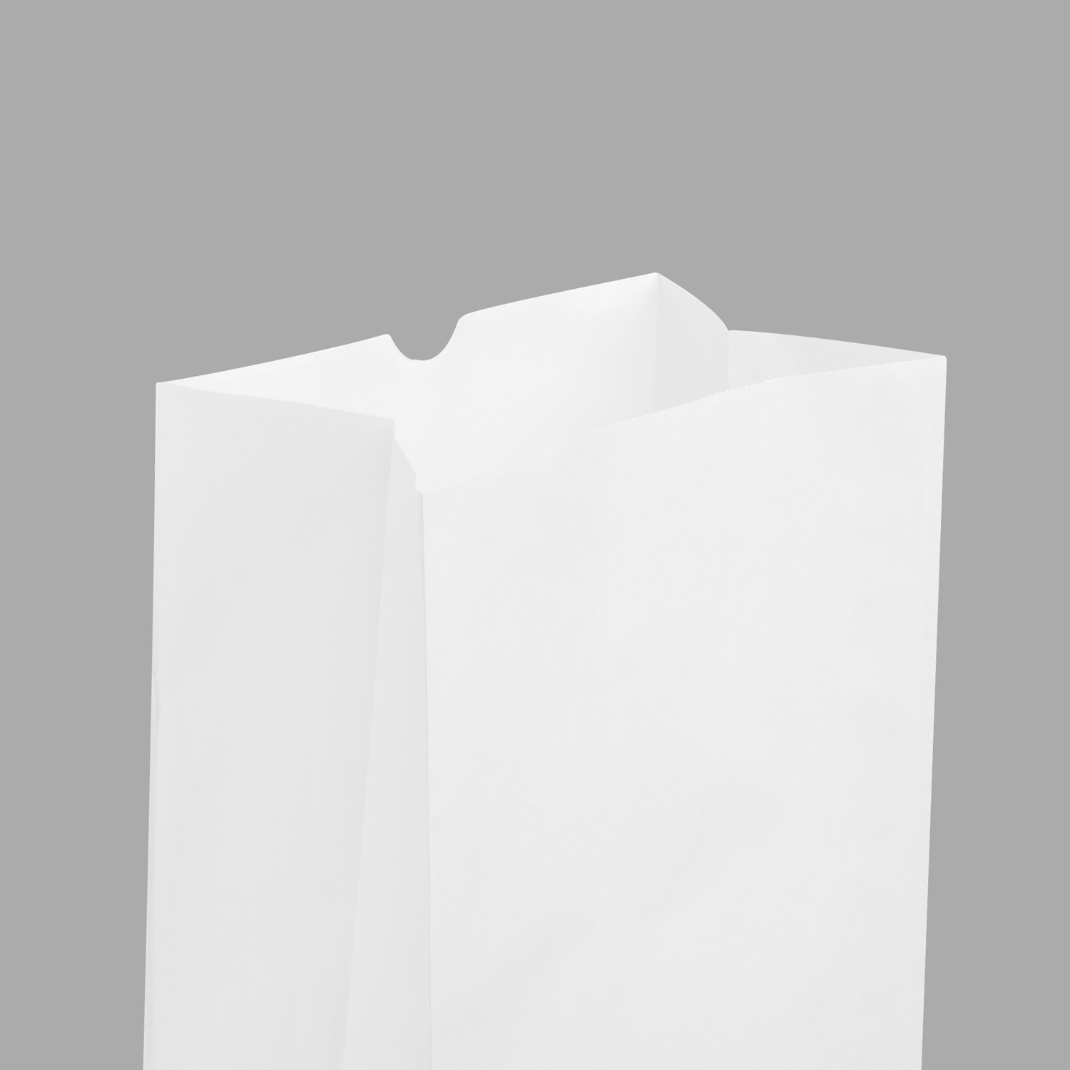 [500 ct] 20 lb Paper Bag, White