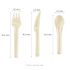 Karat Earth PFAS Free Bagasse Cutlery Kits (Knife, Fork, Soup Spoon, 2-ply Napkin), Paper Wrapped - 250 sets