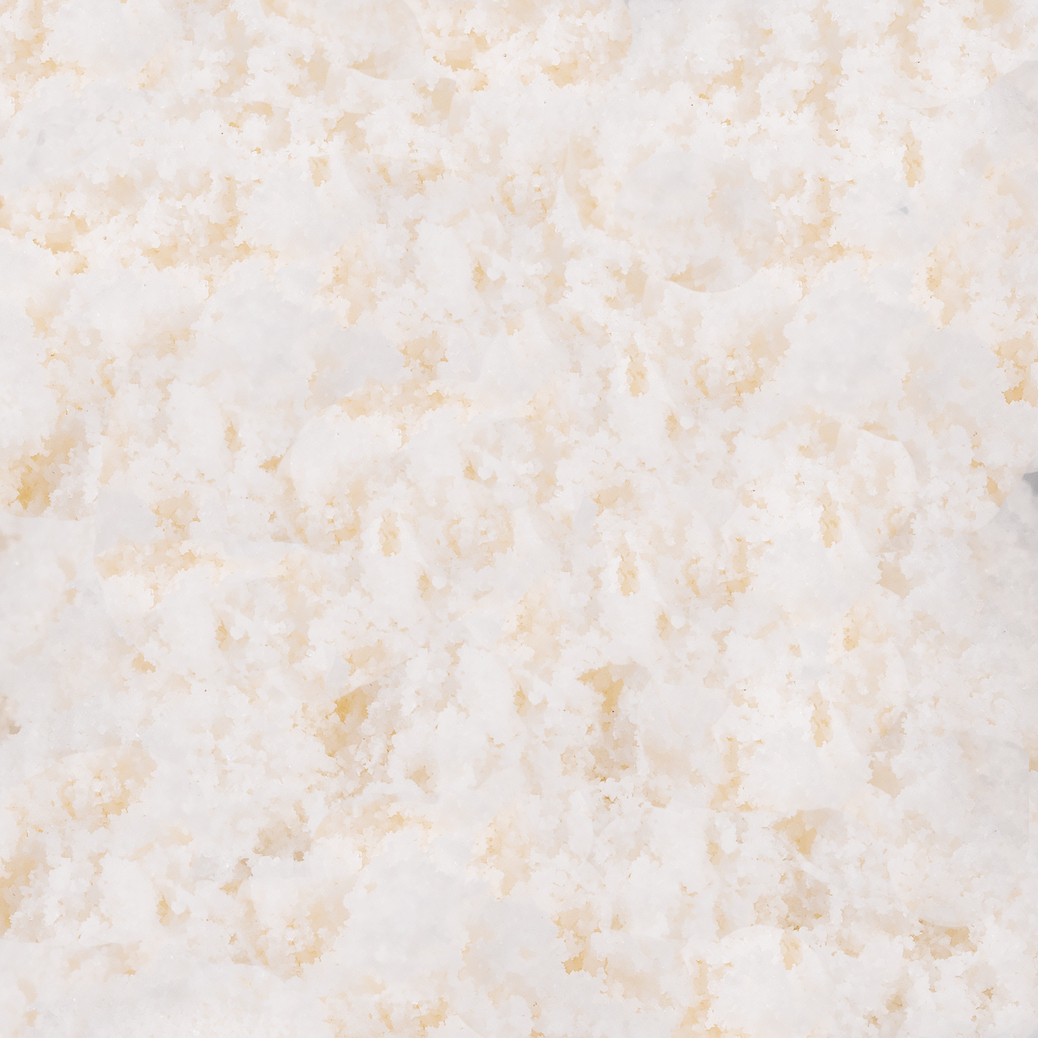 Coconut Powder - Bag (2.2 lbs)