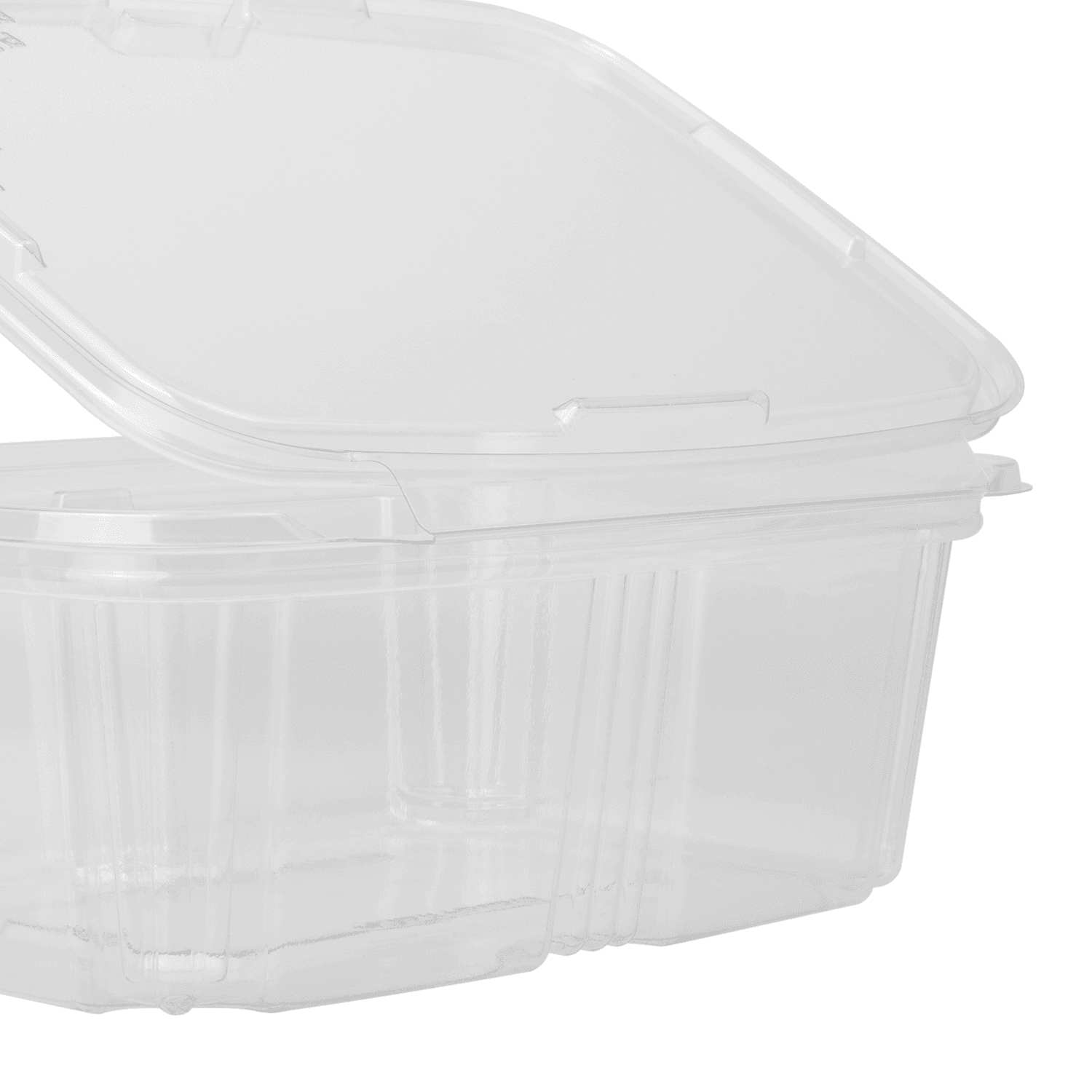 RECESSED LID FOR TAMPERGUARD SNACK BOXES CONTAINERS - Plastic containers