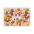 Rainbow Mini Mochi - Case of 25 bags