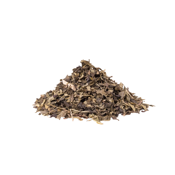 Premium Jasmine Green Tea Leaves - Case of 25 bags