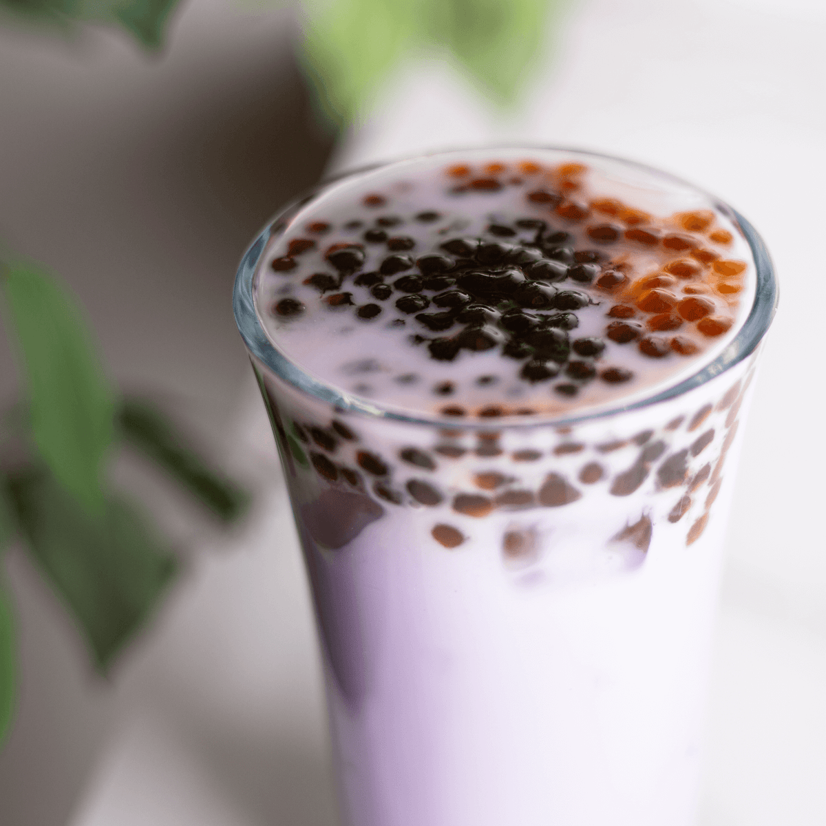Tapioca Pearls (Boba) | LollicupStore