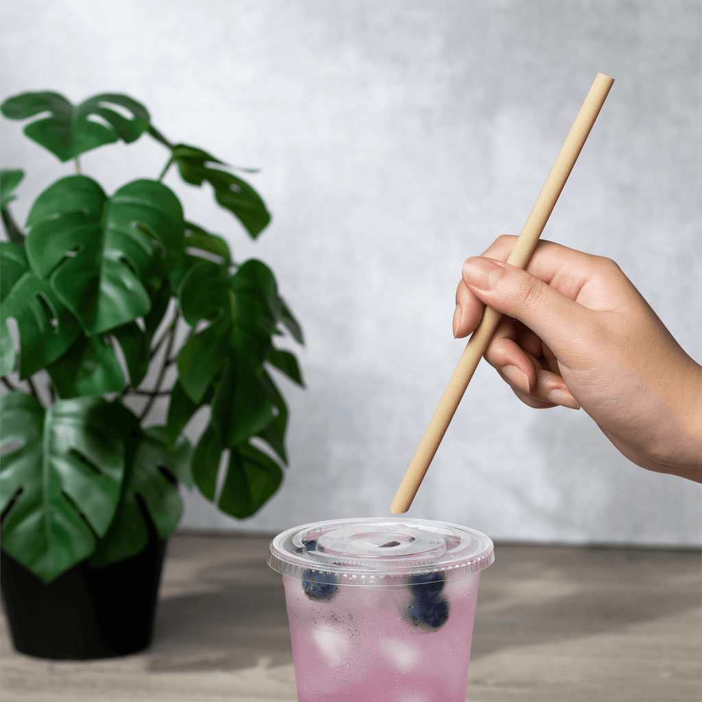 Boba Bamboo Fiber Straws, Individually Wrapped for Drinks, Bubble