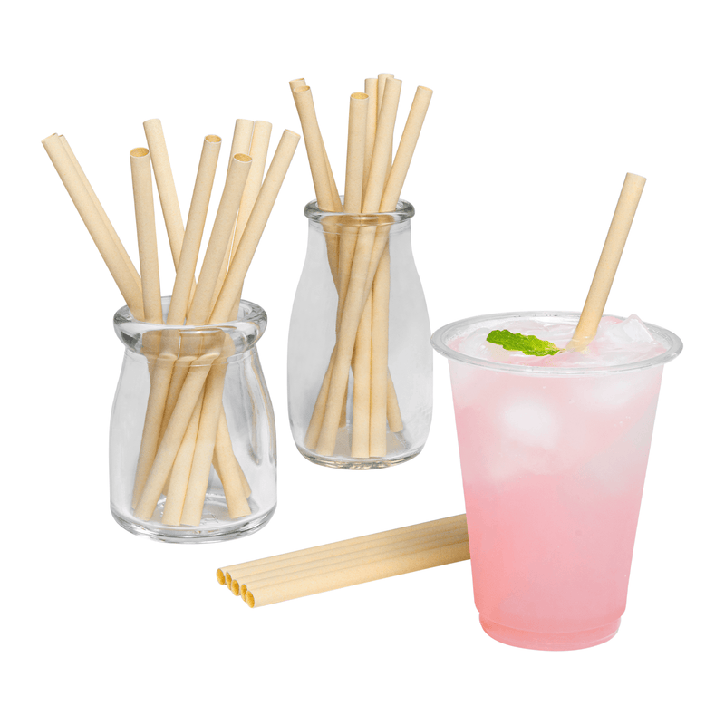 Karat Earth Bamboo Fiber Cocktail 5.5'' Straw