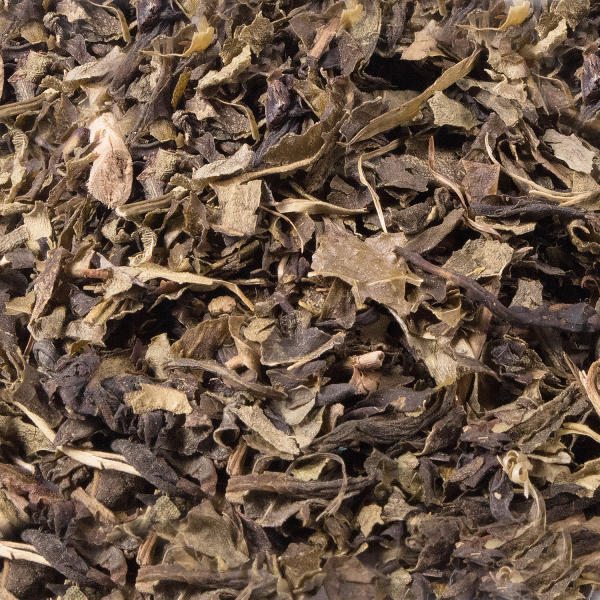 Tea Zone Premium Jasmine Green Tea Leaves - Case of 25 bags