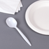 White Karat PS Plastic Medium Weight Soup Spoon next to paper plate