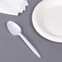 White Karat PS Plastic Medium Weight Tea Spoon next to paper plate